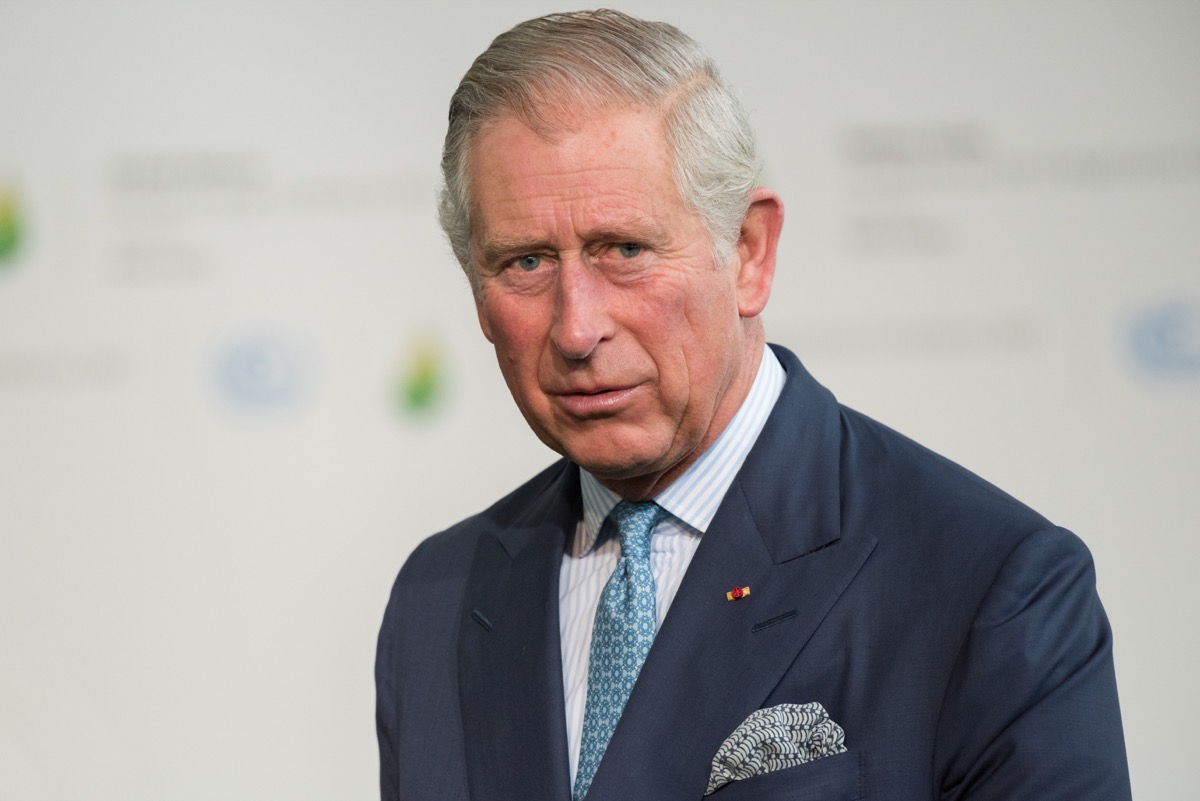 faits sur le prince charles