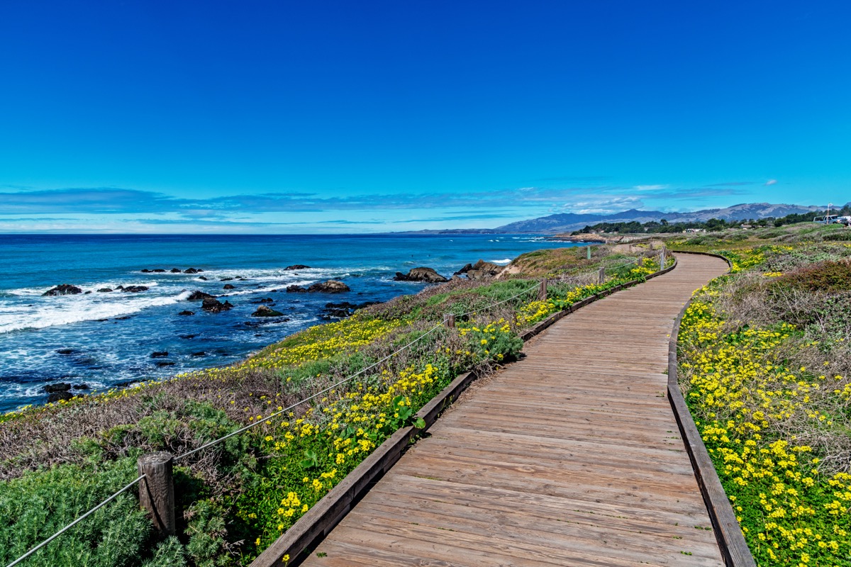 Promenade sur la plage de Moonstone