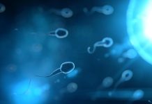 5 raisons pour lesquelles il y a une baisse du nombre de spermatozoïdes dans le monde