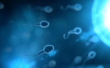 5 raisons pour lesquelles il y a une baisse du nombre de spermatozoïdes dans le monde