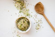 Avantages pour la santé des germes de luzerne