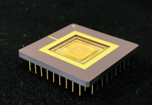 Chips aux cils artificiels