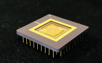 Chips aux cils artificiels