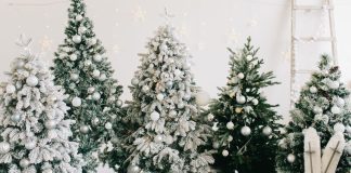 Comment assembler un sapin de Noël comme un pro