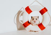 Comment les dirigeants doivent-ils gérer les critiques publiques