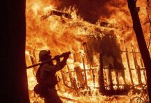 Discours de haine, feu de forêt