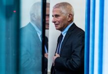 Fauci répond à l’attaque Twitter de Musk et évalue la réponse COVID du monde