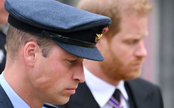 Harry & Meghan Netflix Doc approfondit la querelle avec le prince William