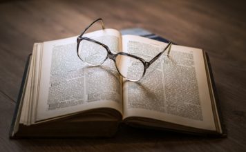 L’influence de la capacité de Business Intelligence, de l’apprentissage en réseau et de l’innovation sur la performance des startups