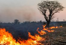 La lutte contre le changement climatique: un mouvement imparable