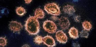 Les agences de renseignement américaines ont probablement raté des occasions d’enquêter sur l’origine de la pandémie de Covid, selon le rapport des démocrates de la Chambre