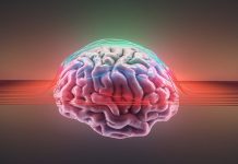 Les découvertes cérébrales les plus stimulantes de cette année