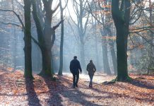 Pourquoi aimons-nous les grands espaces ? De nouvelles recherches montrent qu’une partie de la réponse se trouve dans nos gènes