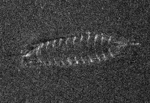 Un bateau médiéval découvert dans le plus grand lac de Norvège